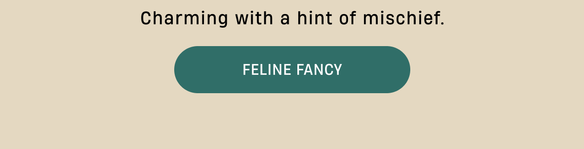 Charming with a hint of mischief | FELINE FANCY