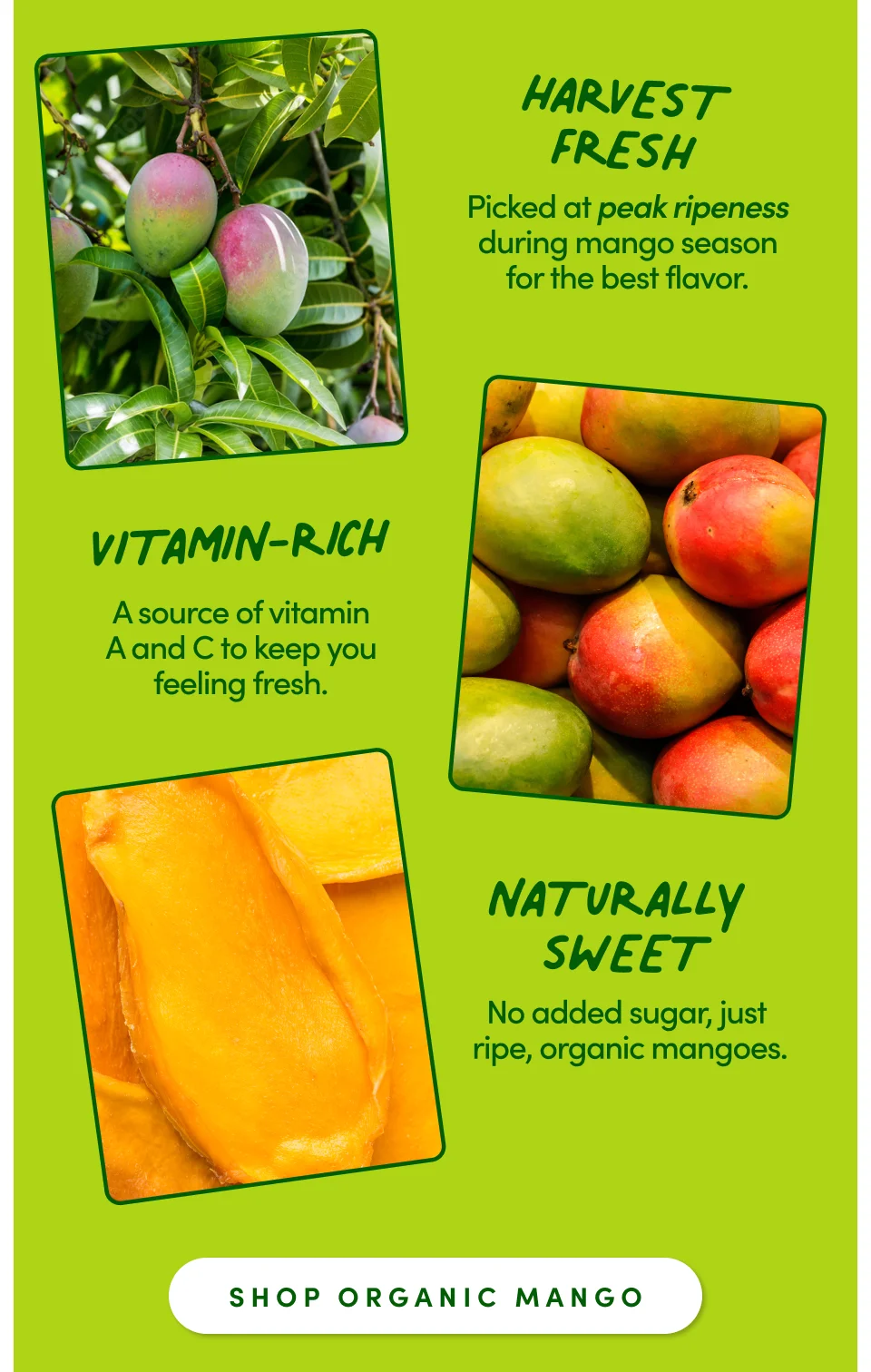 Harvest Fresh – Picked at peak ripeness during mango season for the best flavor. Vitamin-rich – A source of vitamin A and C to keep you feeling fresh. Naturally sweet – No added sugar, just ripe, organic mangoes; Shop organic Mangos