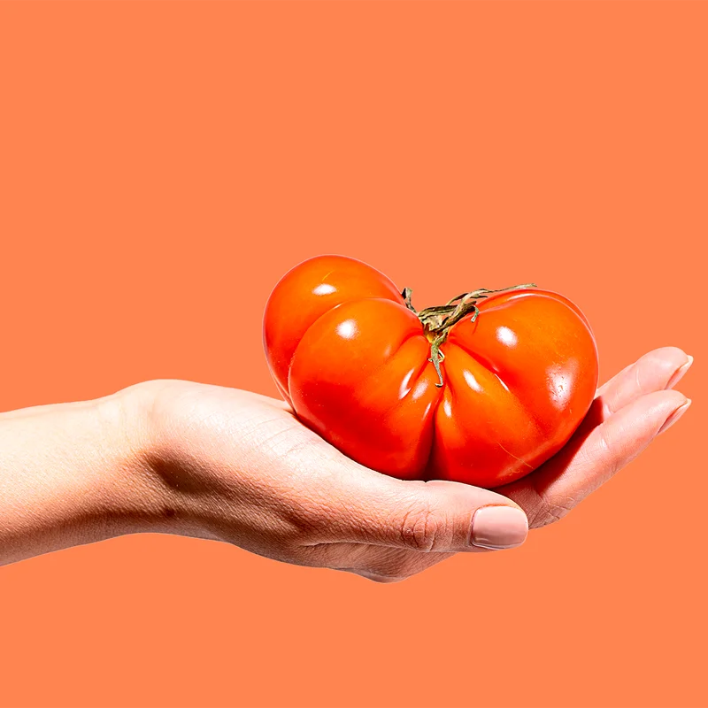 Tomato in Hand