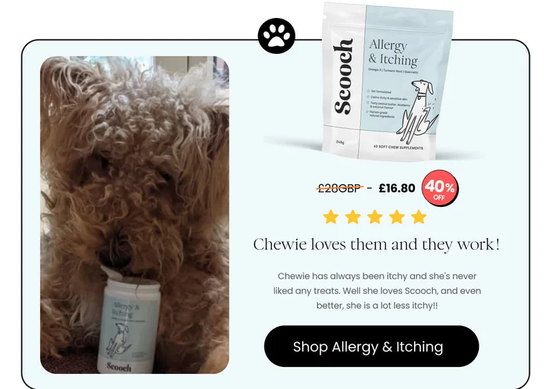 Allergy and Itching