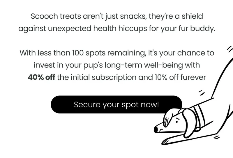 scooch