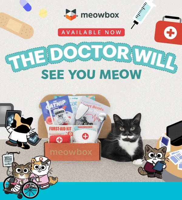 The doctor will see you meow! Image of the Meow Med meowbox (featuring toys like the Furst Aid Kit, Catnip Cure IV Wand, Heart Beats for Treats catnip toys and more) next to a black white spotted cat. In front of a hospital illustration scene.