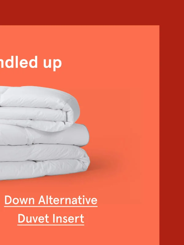Down Alternative Duvet Insert