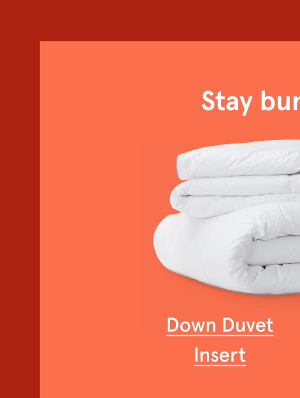 Down Duvet Insert