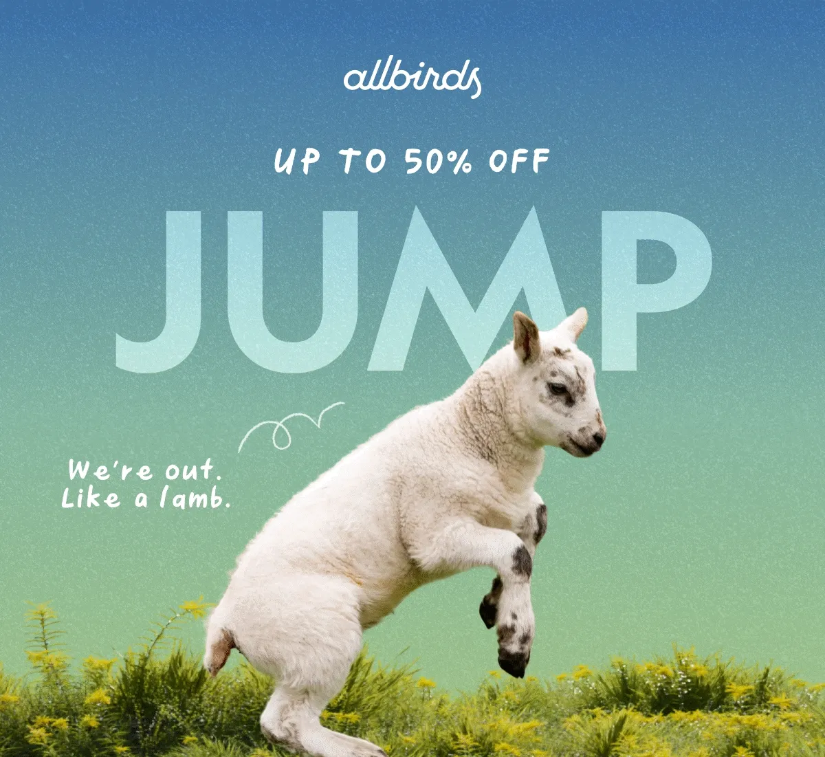 Up To 50% OFF