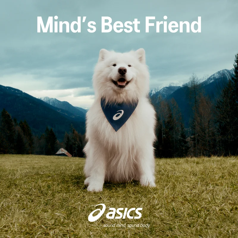Felix Minds Best Friend