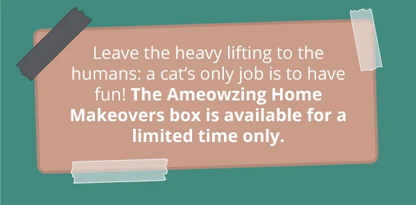 Leave the heavy lifting to the humans: a cat’s only job is to have fun! The Ameowzing Home Makeovers box is available for a limited time only.