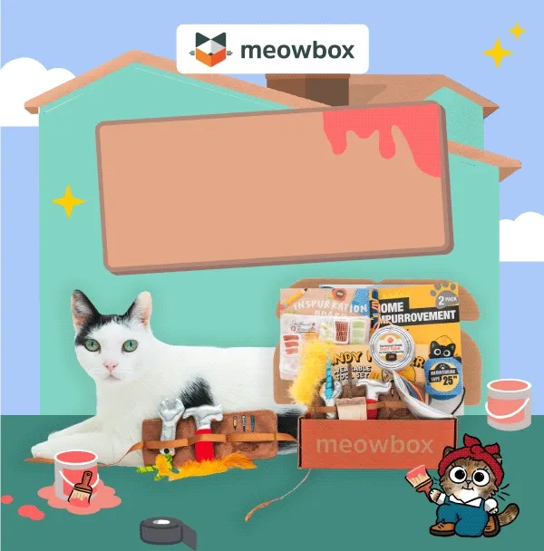Spurruce up your space! Image of a black and white cat next to the Ameowzing Home Makeovers meowbox (featuring toys like the Inspurration Board scratcher, Home Impurrovement 2 pack, Handy Helpurr Wearable Tool Set toys and more).