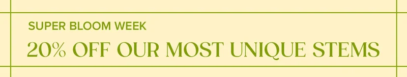 Super Bloom Week: 20% OFF OUR MOST UNIQUE STEMS! Use code BLOOM
