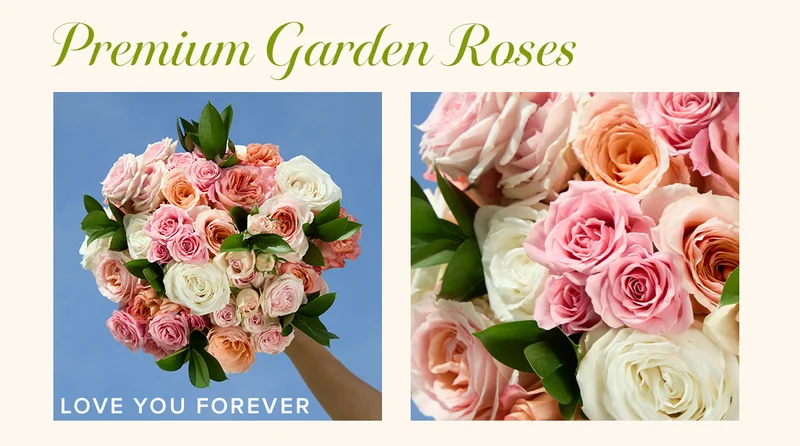 Premium Garden Roses! Featured Bouq: Love You Forever