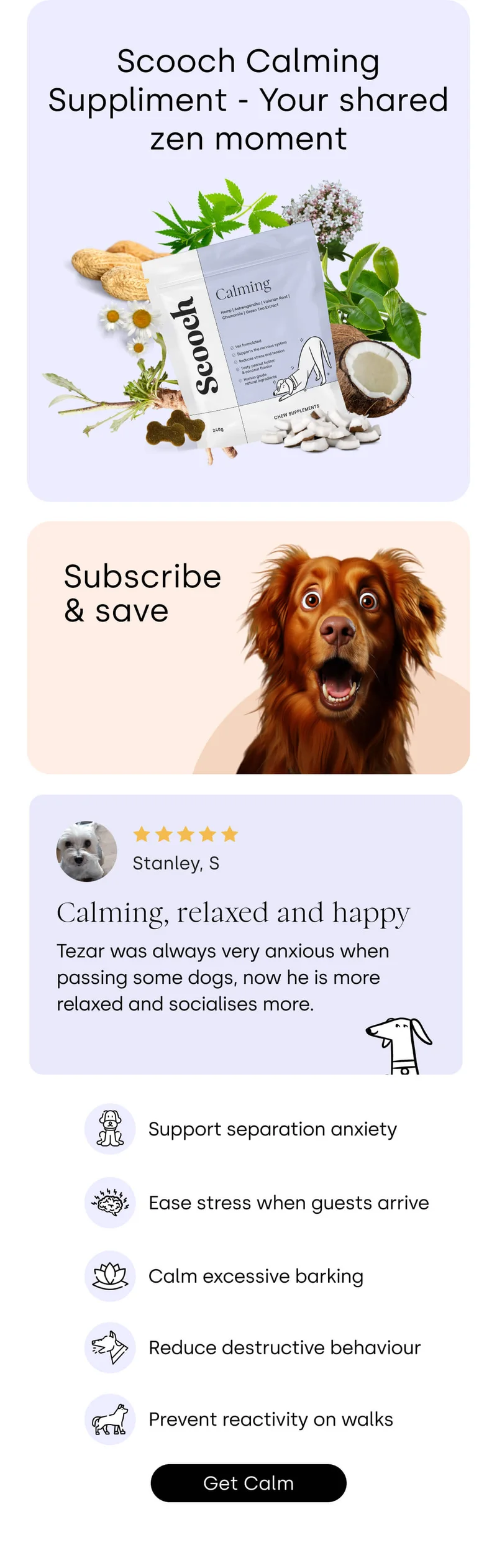 Scooch Calming Suppliment - Your shared zen moment - Get calm