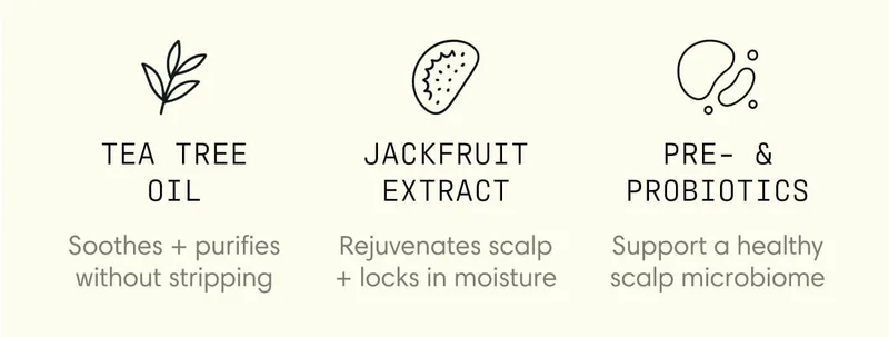 Tea Tree Oil - Soothes + purifies without stripping |  Jackfruit Extract - Rejuvenates scalp + locks in moisture |  Pre- & Probiotics - Support a healthy scalp microbiome