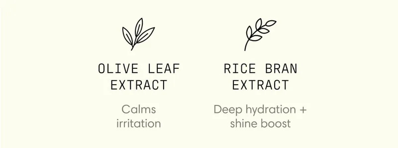 Olive Leaf Extract - Calms irritation | Rice Bran Extract - Deep hydration + shine boost