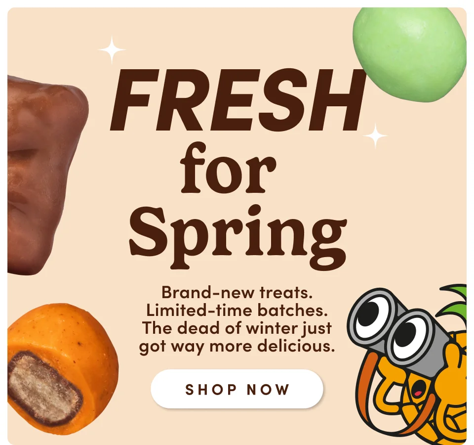 Fresh for Spring | Brand-new treats. Limited-time batches. The dead of winter just got way more delicious; Shop now