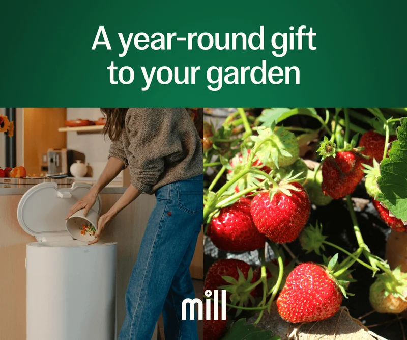 A year-round gift to your garden