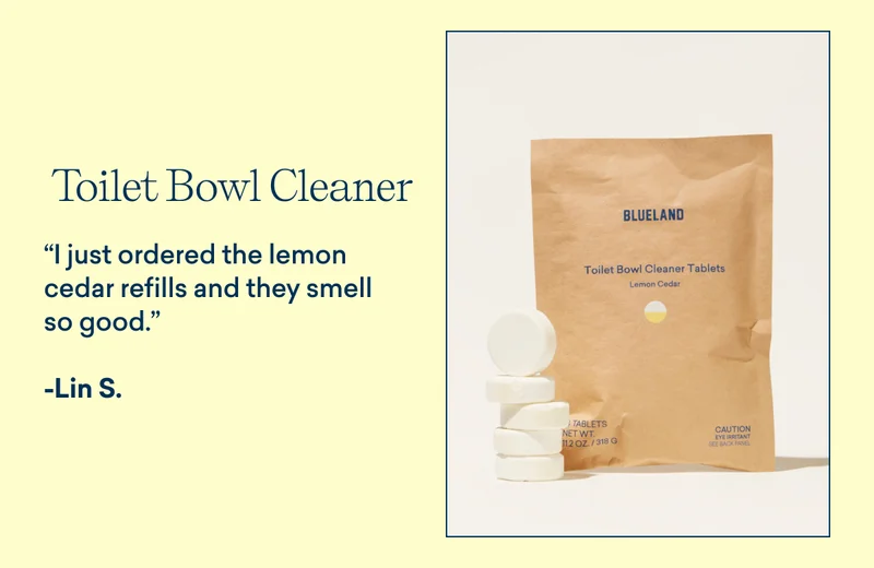 Toilet Bowl Cleaner