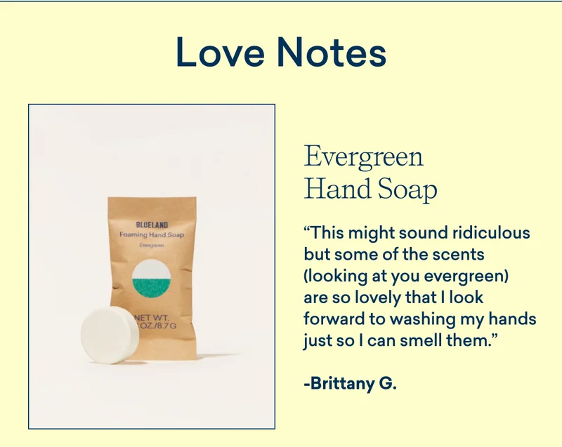 Evergreen Hand Soap