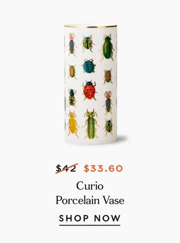 Curio Porcelain Vase