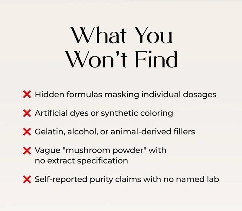 What You Won't Find