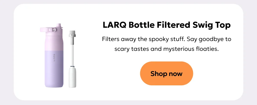 Shop LARQ Bottle Filtered Swig Top