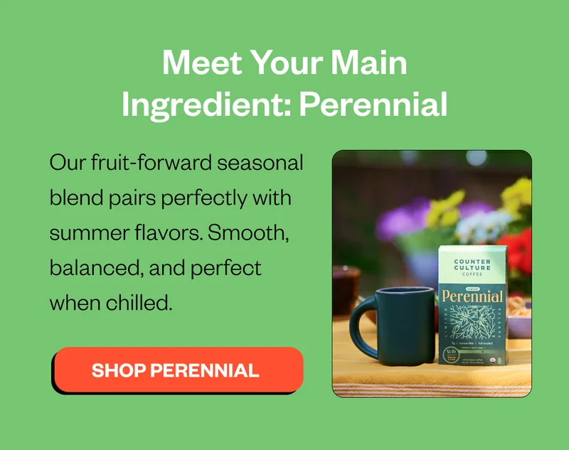 Meet your Main Ingredient : Perennial Our fruit-forward seasonal blend pairs perfectly with summer flavors. Smooth, balance, and perfect when chilled Meet your Main Ingredient : Perennial Our fruit-forward seasonal blend pairs perfectly with summer flavors. Smooth, balance, and perfect when chilled