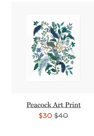 Peacock Art Print