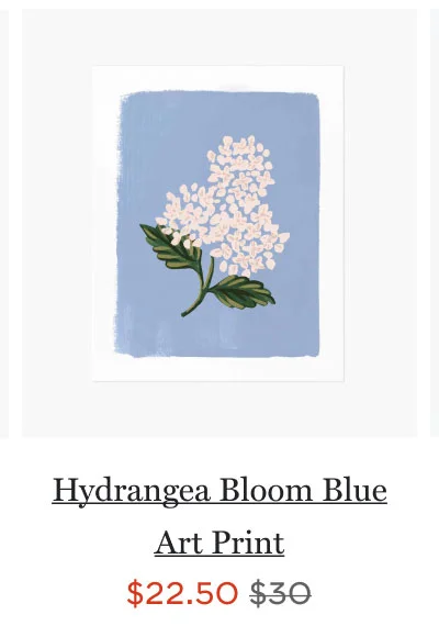 Hydrangea Bloom Blue Art Print