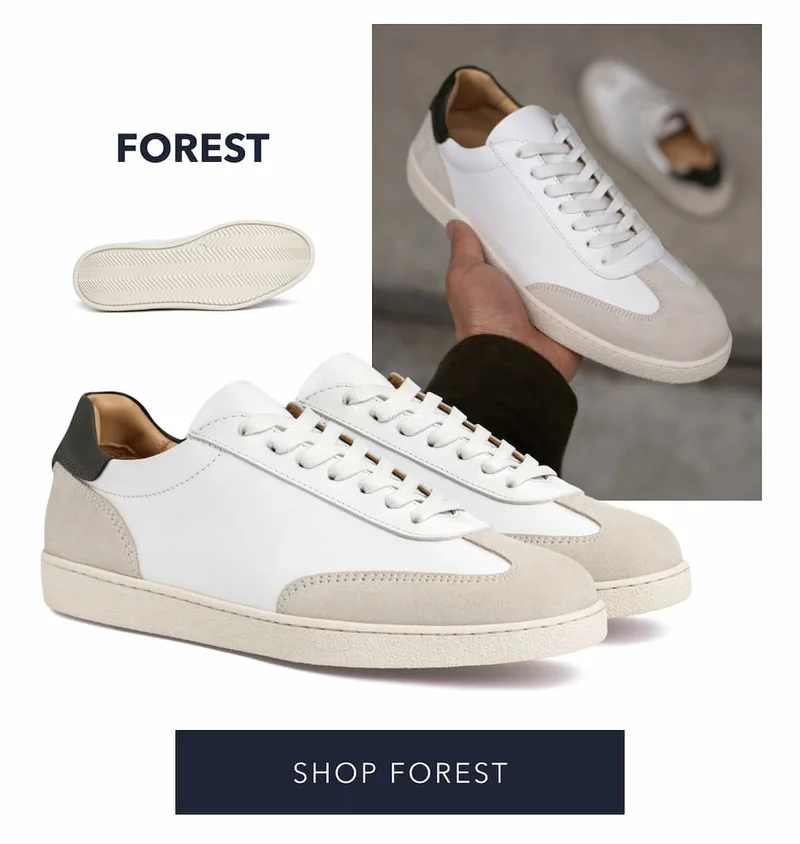 Forest Vista