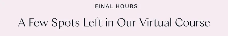 Final Hours: A Few Spots Left in Our Virtual Course