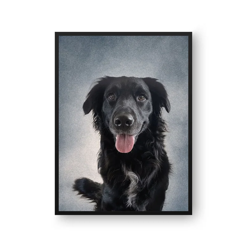 Image of College Yearbook Style Pet Portrait