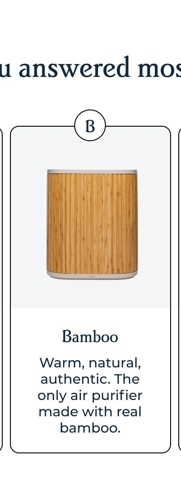 Bamboo