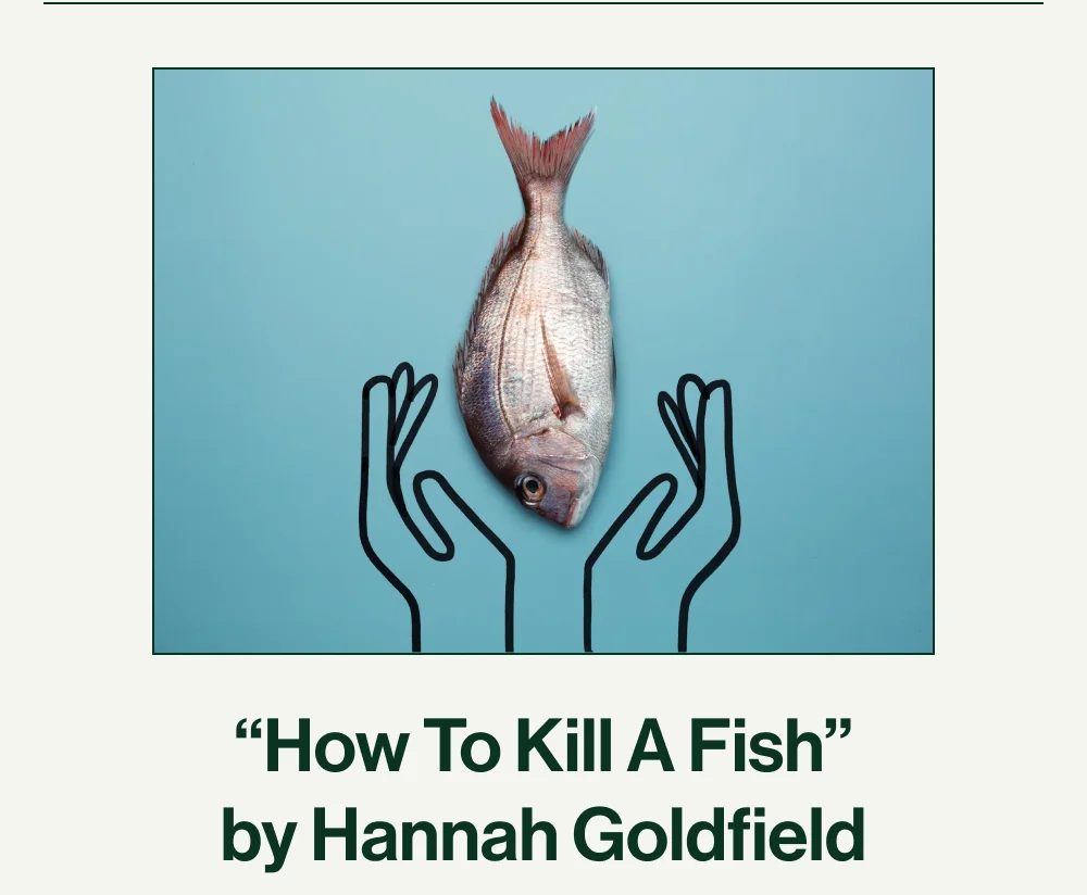How to Kill a Fish