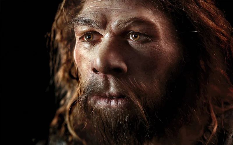 This reconstruction of a Neanderthal man’s features is based on the fossils found at the French site of La Chapelle-aux-Saints. The man has brown eyes, thick and busy eyebrows, a protruding nose and a brown beard. Paleoartist Elisabeth Daynès created the sculpture.