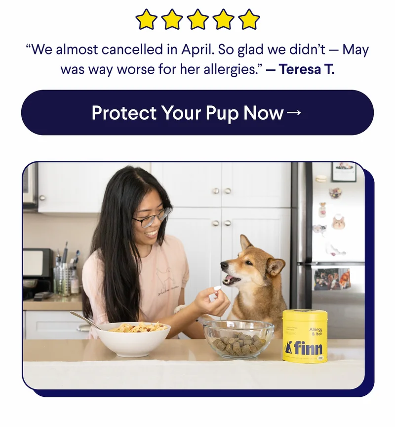 5-Star Customer Review: “We almost cancelled in April. So glad we didn’t — May was way worse for her allergies.” — Teresa T. CTA: Protect Your Pup Now –>