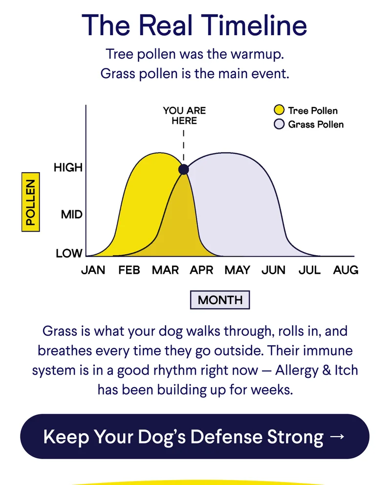 Text: The Real Timeline – Tree pollen was the warmup. Grass pollen is the main event. Grass is what your dog walks through, rolls in, and breathes every time they go outside. Their immune system is in a good rhythm right now — Allergy & Itch has been building up for weeks. CTA: Keep Your Dog’s Defense Strong → Graphic: Tree Pollen vs. Grass Pollen