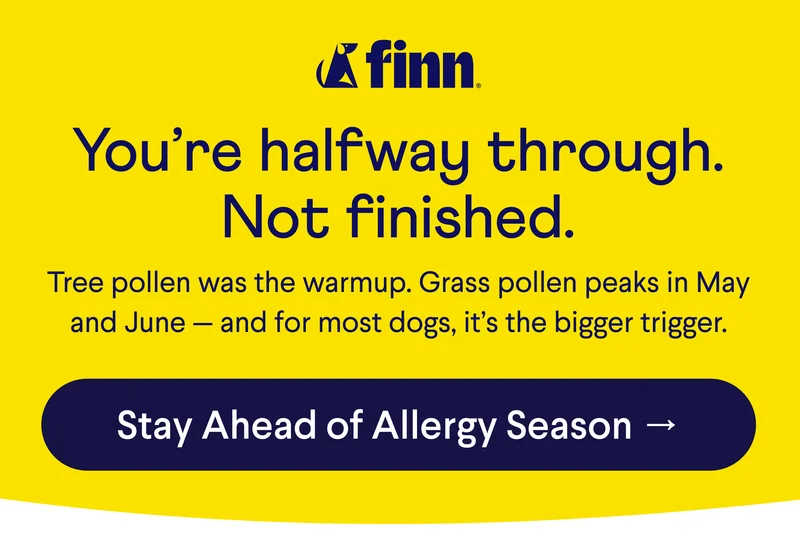 Finn logo. Text: You’re halfway through. Not finished. Tree pollen was the warmup. Grass pollen peaks in May and June — and for most dogs, it’s the bigger trigger. CTA: Stay Ahead of Grass Season →