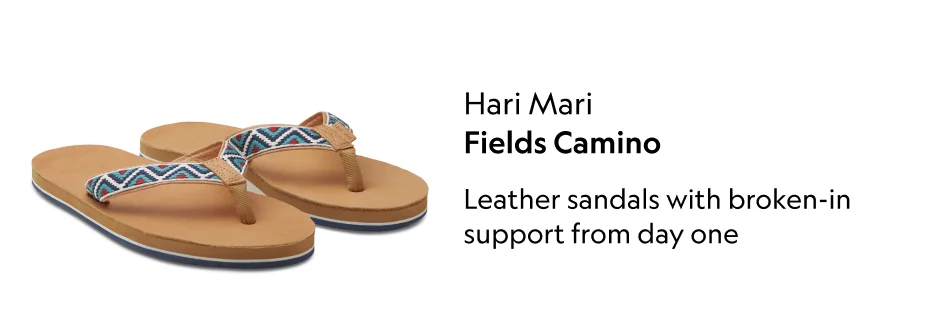 Fields Camino
