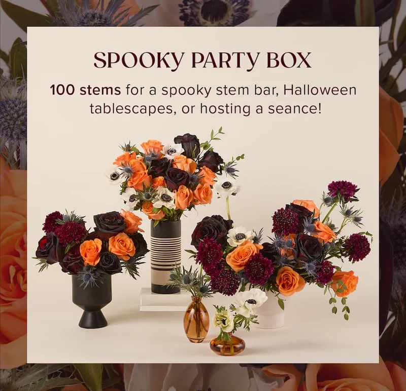 Spooky Party Box. 100 stems for a spooky stem bar, Halloween tablescapes, or hosting a seance!