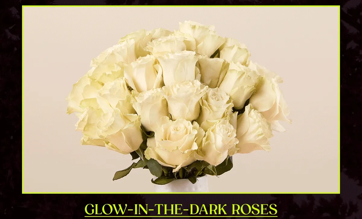 Glow-in-the-Dark Roses