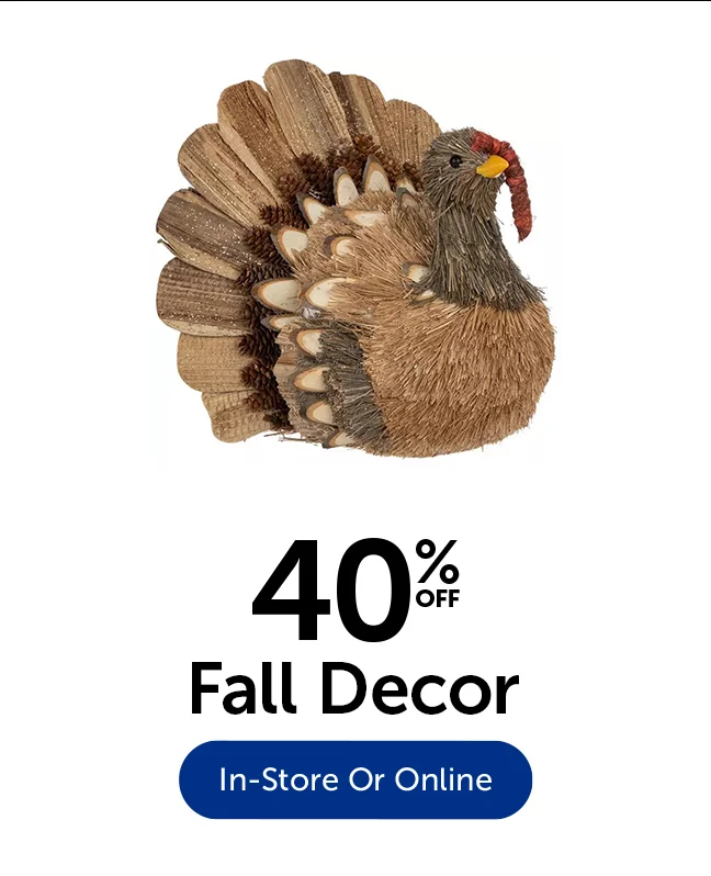 40% Off Fall Decor