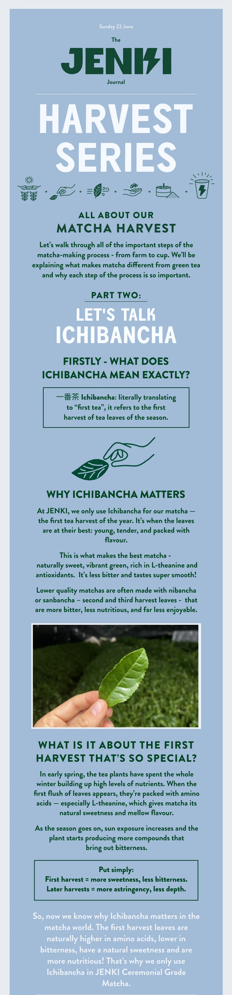 JENKI Harvest Series - Ichibanca