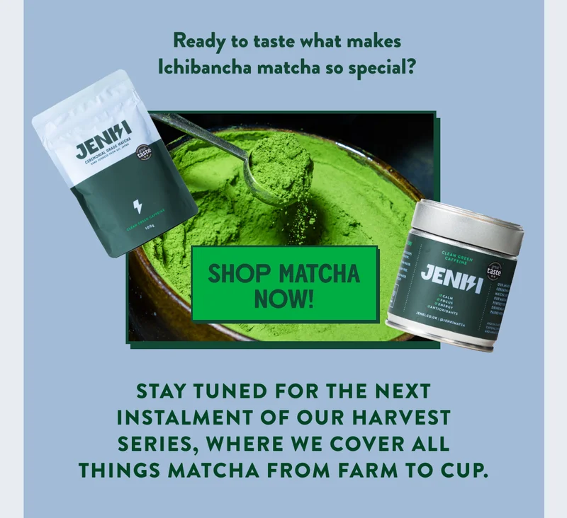 Shop JENKI Matcha Now