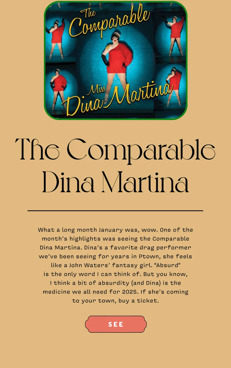 The Comparable Dina Martina   What a long month January was, wow. One of the month’s highlights was seeing the Comparable Dina Martina. Dina’s a favorite drag performer we’ve been seeing for years in Ptown, she feels like a John Waters’ fantasy girl. “Absurd”  is the only word I can think of. But you know,  I think a bit of absurdity (and Dina) is the  medicine we all need for 2025. If she’s coming  to your town, buy a ticket.   SEE