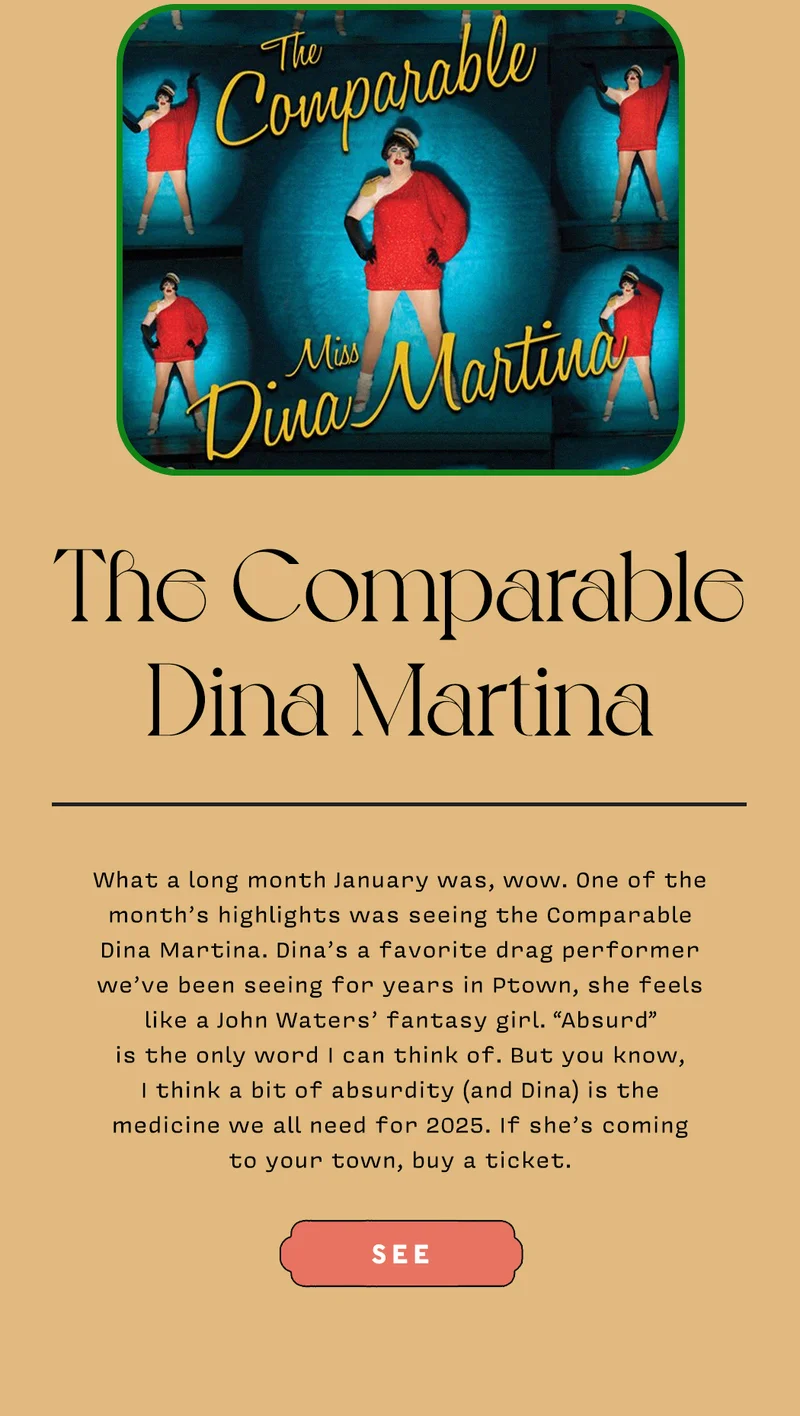 The Comparable Dina Martina What a long month January was, wow. One of the month’s highlights was seeing the Comparable Dina Martina. Dina’s a favorite drag performer we’ve been seeing for years in Ptown, she feels like a John Waters’ fantasy girl. “Absurd” is the only word I can think of. But you know, I think a bit of absurdity (and Dina) is the medicine we all need for 2025. If she’s coming to your town, buy a ticket. SEE