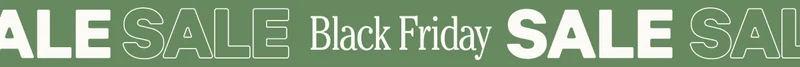 Black Friday Sale