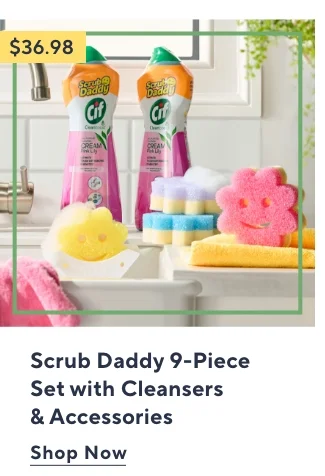 Scrub Daddy