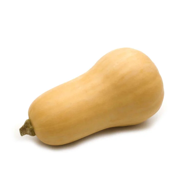 Organic Honeypatch Squash