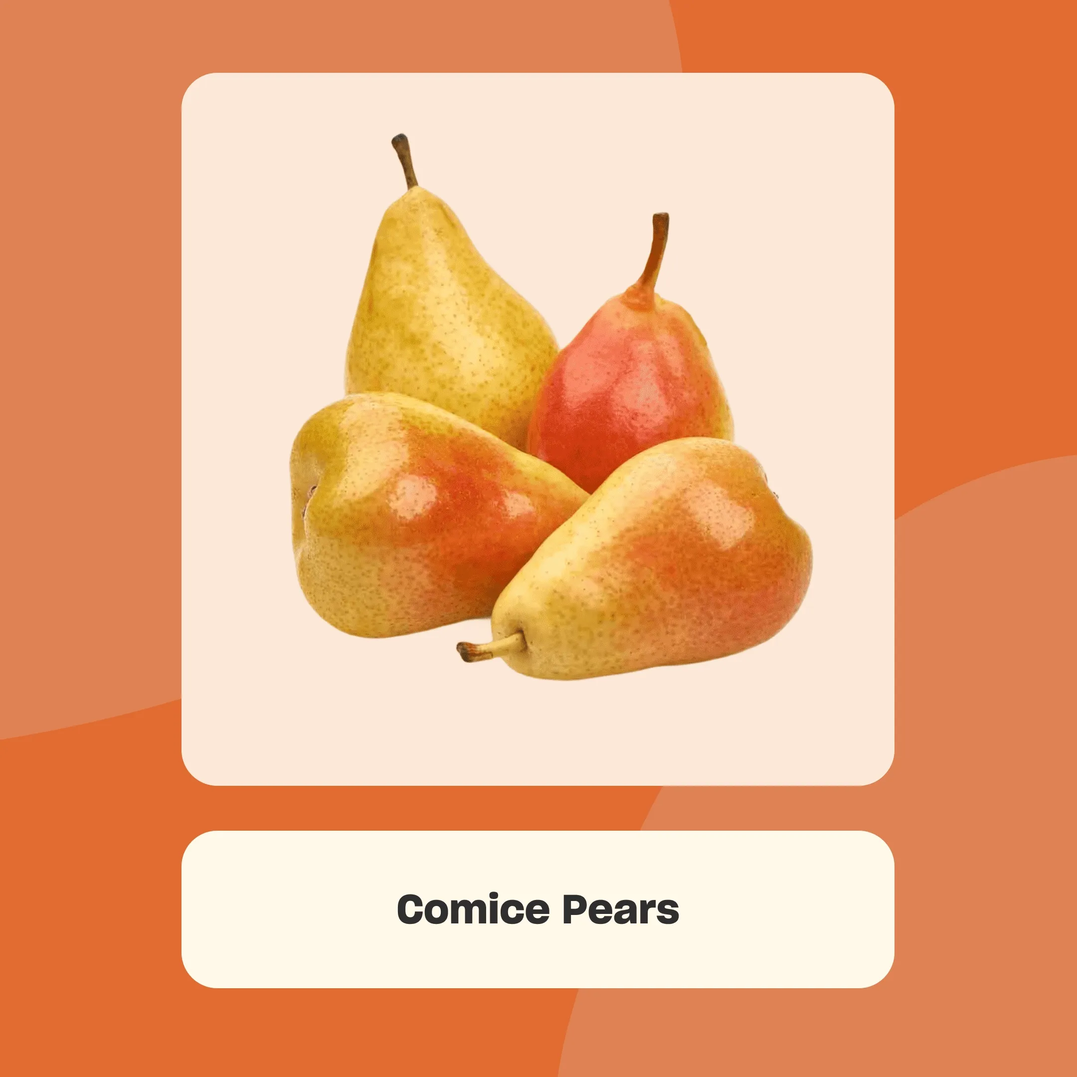 Autumn Seasonal Produce
