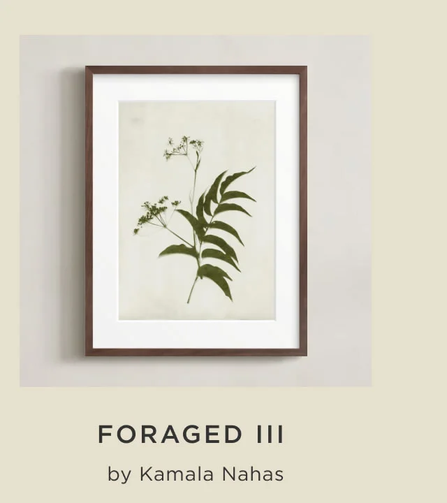 Foraged III
