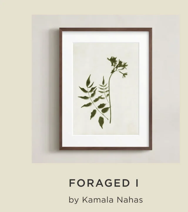 Foraged I